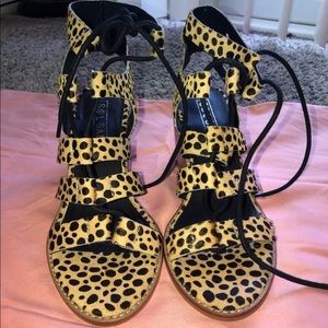 Cheetah Platforms